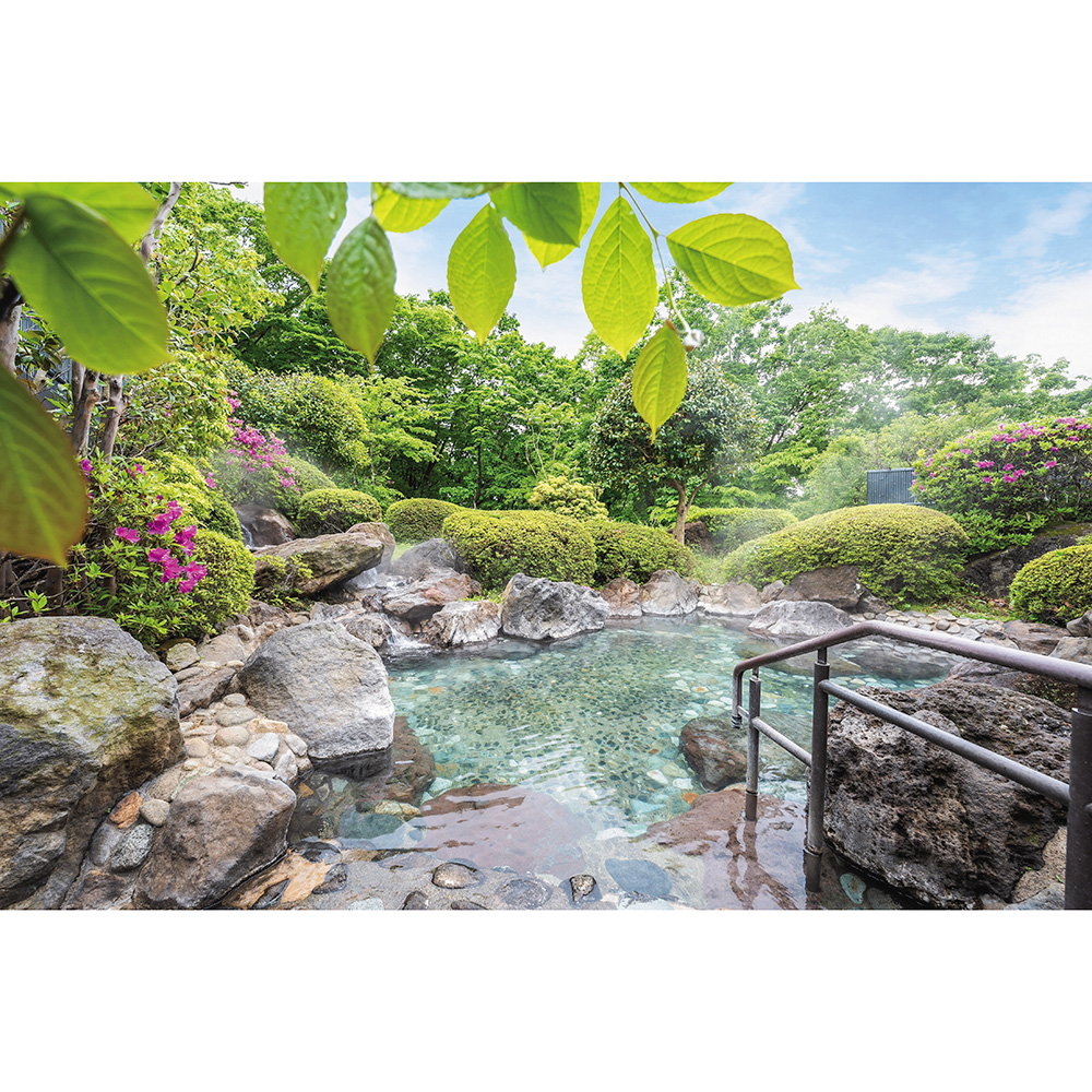 たびもの撰華 梓（あずさ）2万円