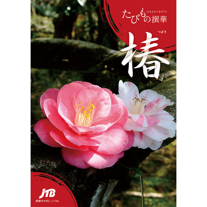 たびもの撰華  椿（つばき）1万円